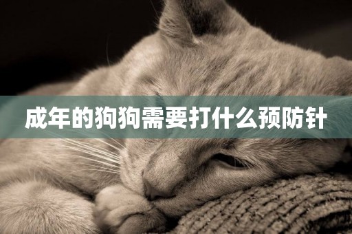 成年的狗狗需要打什么預防針