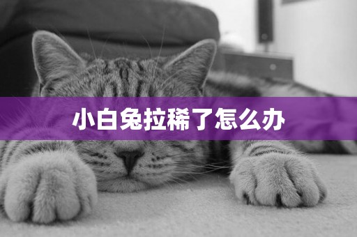 小白兔拉稀了怎么辦