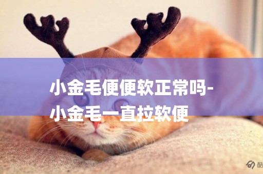 小金毛便便軟正常嗎-
小金毛一直拉軟便