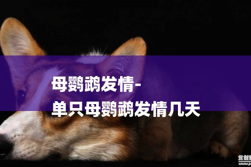 母鸚鵡發情-
單只母鸚鵡發情幾天
