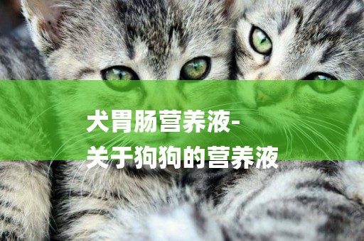 犬胃腸營養液-
關于狗狗的營養液