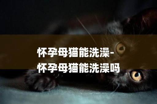 懷孕母貓能洗澡-
懷孕母貓能洗澡嗎