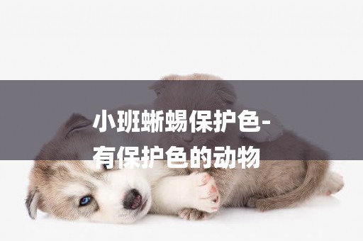 小班蜥蜴保護色-
有保護色的動物