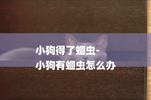 小狗得了蛔蟲-
小狗有蛔蟲怎么辦