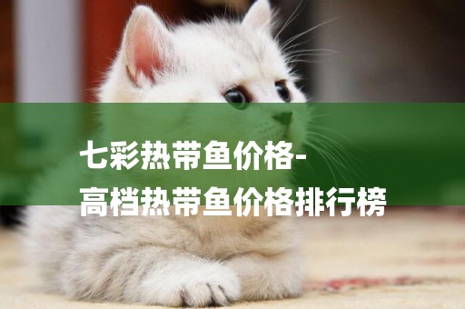 七彩熱帶魚價格-
高檔熱帶魚價格排行榜