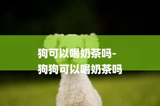狗可以喝奶茶嗎-
狗狗可以喝奶茶嗎