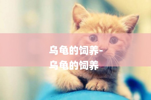 烏龜的飼養-
烏龜的飼養