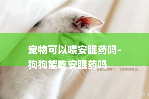 寵物可以喂安眠藥嗎-
狗狗能吃安眠藥嗎