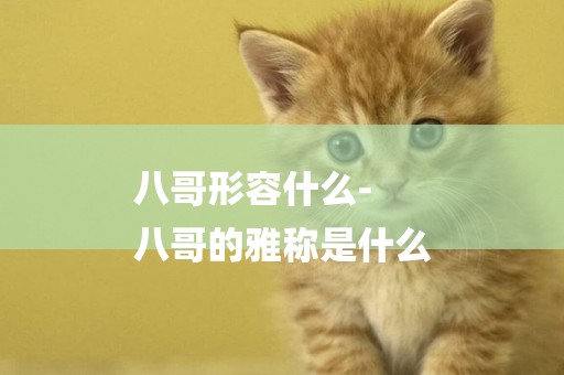 八哥形容什么-
八哥的雅稱是什么