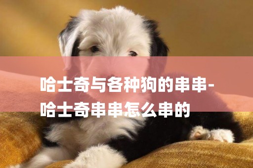 哈士奇與各種狗的串串-
哈士奇串串怎么串的