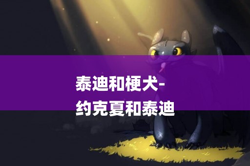 泰迪和梗犬-
約克夏和泰迪