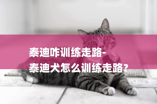 泰迪咋訓練走路-
泰迪犬怎么訓練走路？
