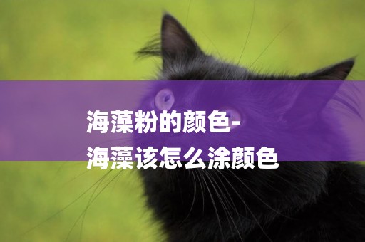 海藻粉的顏色-
海藻該怎么涂顏色