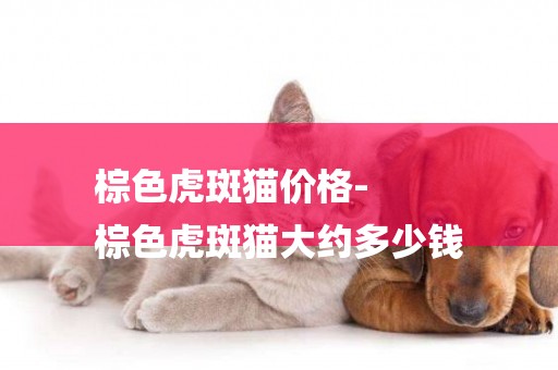 棕色虎斑貓價格-
棕色虎斑貓大約多少錢
