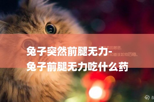 兔子突然前腿無力-
兔子前腿無力吃什么藥