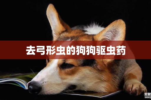 去弓形蟲的狗狗驅蟲藥