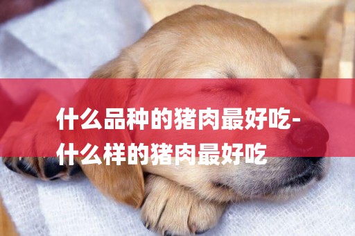 什么品種的豬肉最好吃-
什么樣的豬肉最好吃