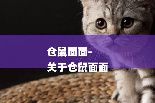 倉鼠面面-
關于倉鼠面面