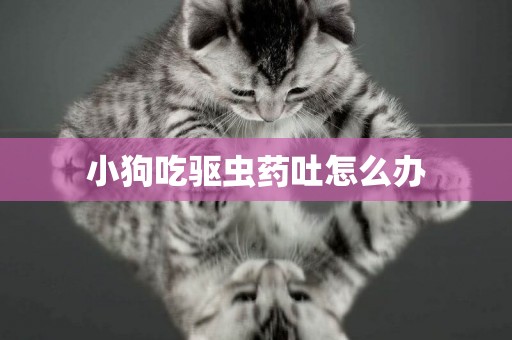 小狗吃驅蟲藥吐怎么辦