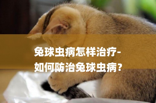 兔球蟲病怎樣治療-
如何防治兔球蟲病？