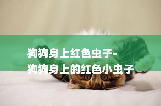 狗狗身上紅色蟲子-
狗狗身上的紅色小蟲子