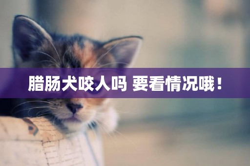 臘腸犬咬人嗎 要看情況哦！