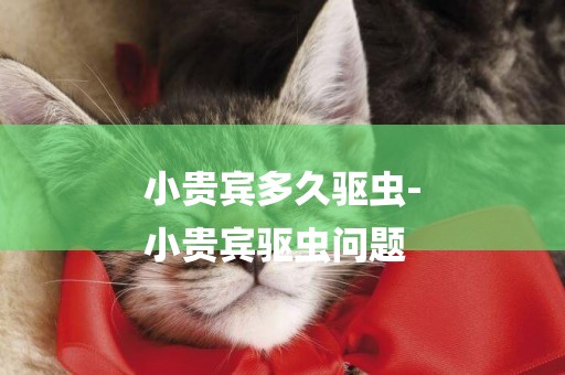 小貴賓多久驅蟲-
小貴賓驅蟲問題