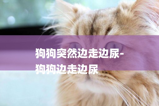 狗狗突然邊走邊尿-
狗狗邊走邊尿