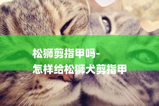 松獅剪指甲嗎-
怎樣給松獅犬剪指甲