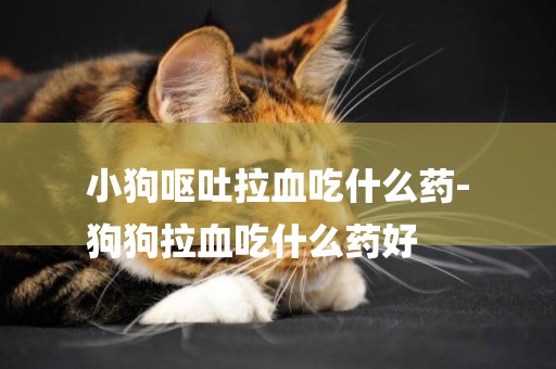 小狗嘔吐拉血吃什么藥-
狗狗拉血吃什么藥好