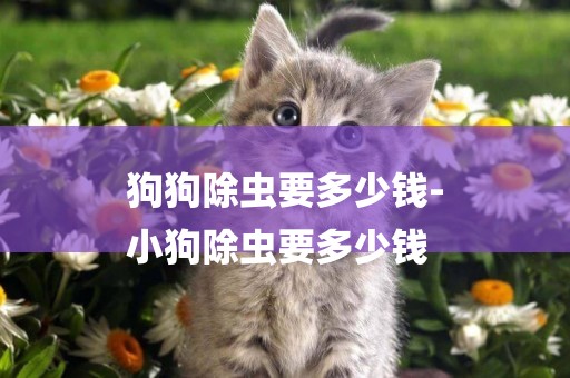 狗狗除蟲要多少錢-
小狗除蟲要多少錢