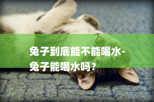 兔子到底能不能喝水-
兔子能喝水嗎？