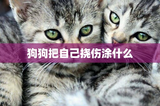 狗狗把自己撓傷涂什么