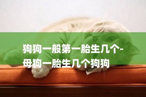 狗狗一般第一胎生幾個-
母狗一胎生幾個狗狗