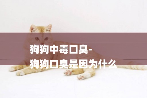 狗狗中毒口臭-
狗狗口臭是因為什么