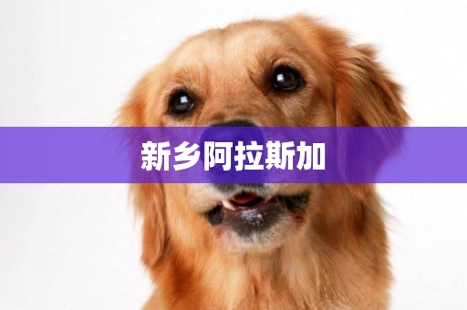 新鄉阿拉斯加