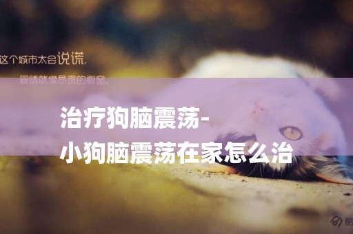 治療狗腦震蕩-
小狗腦震蕩在家怎么治