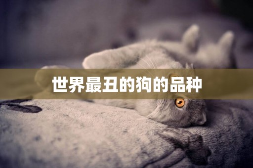 世界最丑的狗的品種