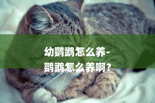 幼鸚鵡怎么養-
鸚鵡怎么養啊？
