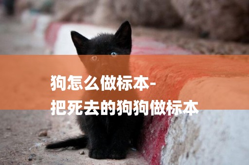 狗怎么做標本-
把死去的狗狗做標本
