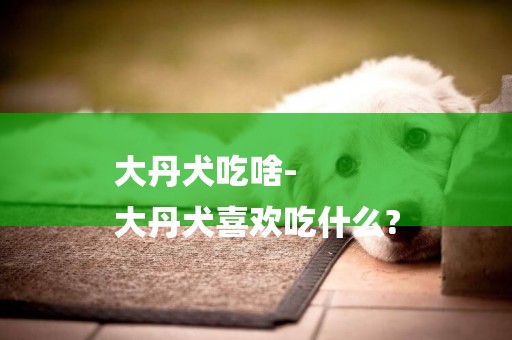 大丹犬吃啥-
大丹犬喜歡吃什么?