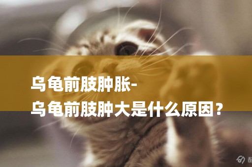 烏龜前肢腫脹-
烏龜前肢腫大是什么原因？