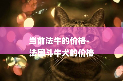 當前法牛的價格-
法國斗牛犬的價格