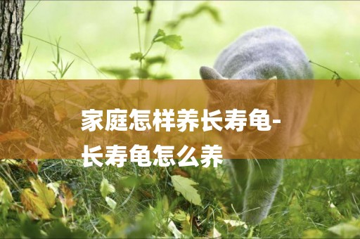 家庭怎樣養長壽龜-
長壽龜怎么養