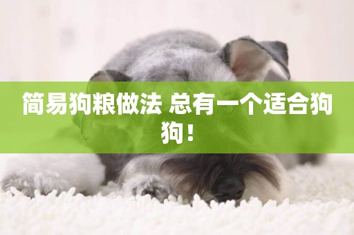 簡易狗糧做法 總有一個適合狗狗！