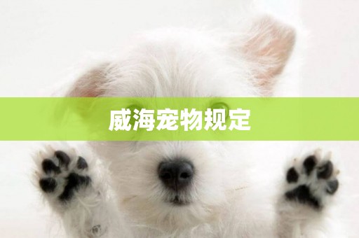 威海寵物規定