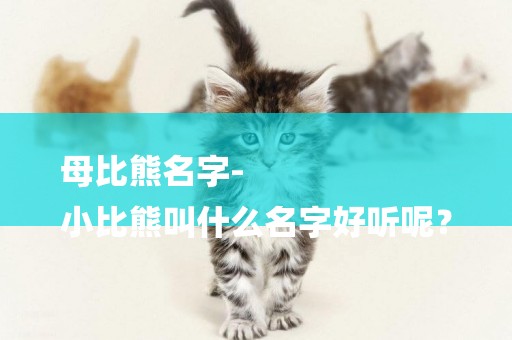 母比熊名字-
小比熊叫什么名字好聽呢？