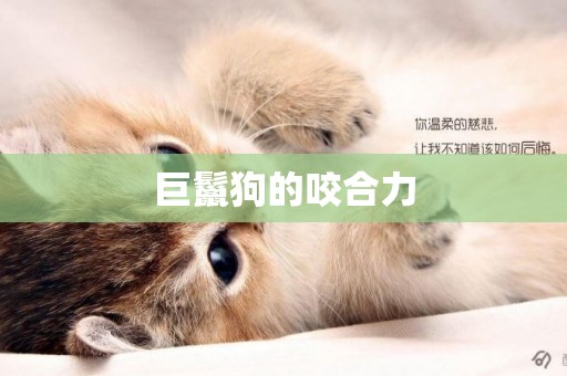 巨鬣狗的咬合力