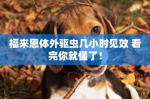 福來恩體外驅蟲幾小時見效 看完你就懂了！