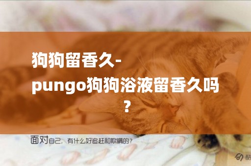 狗狗留香久-
pungo狗狗浴液留香久嗎？